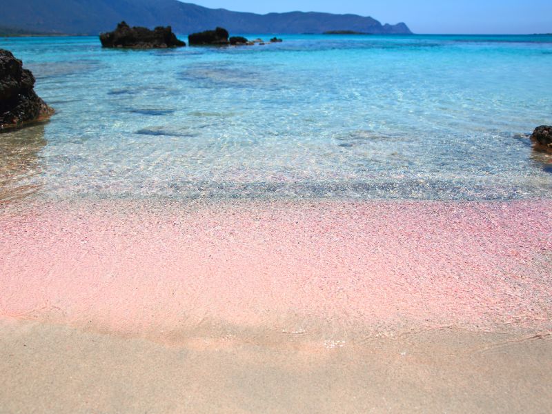 pink sand elafonisi